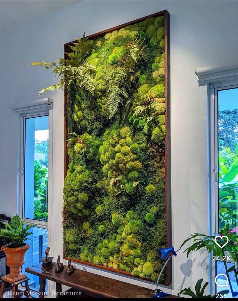 Preserved Greenery Corner In A Japandi Small Living Room