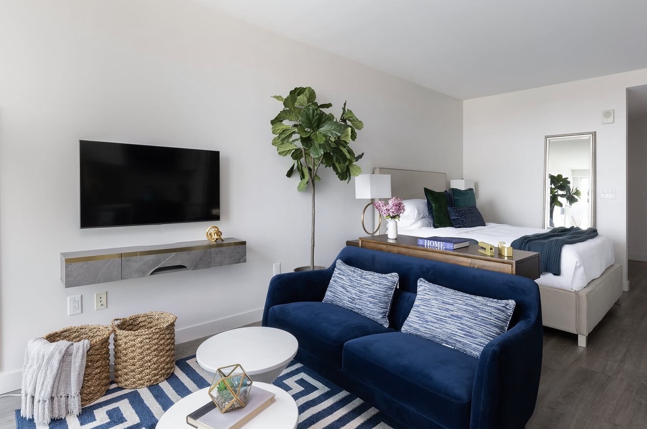 Cozy Bedroom and Living Room Combo Ideas For Small Spaces