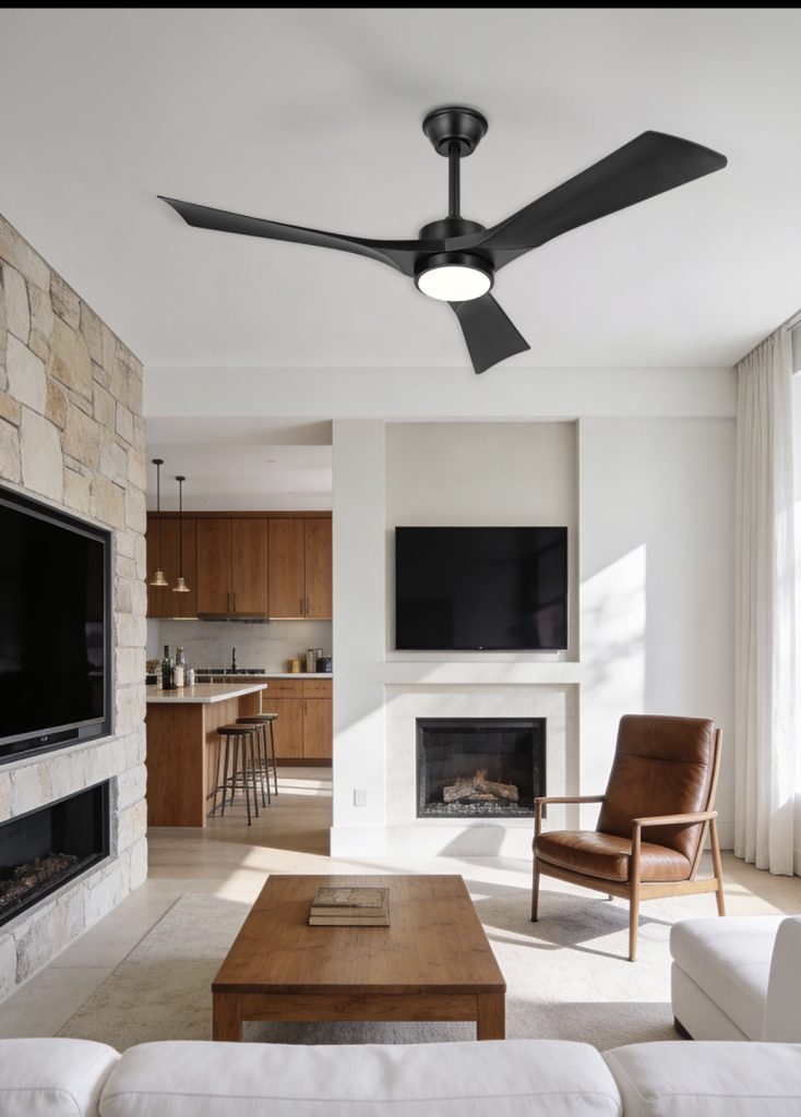 Black matte statement fan