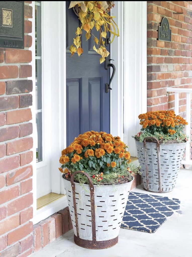Fall flowers in pot