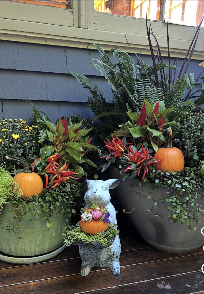 Candy flower pots