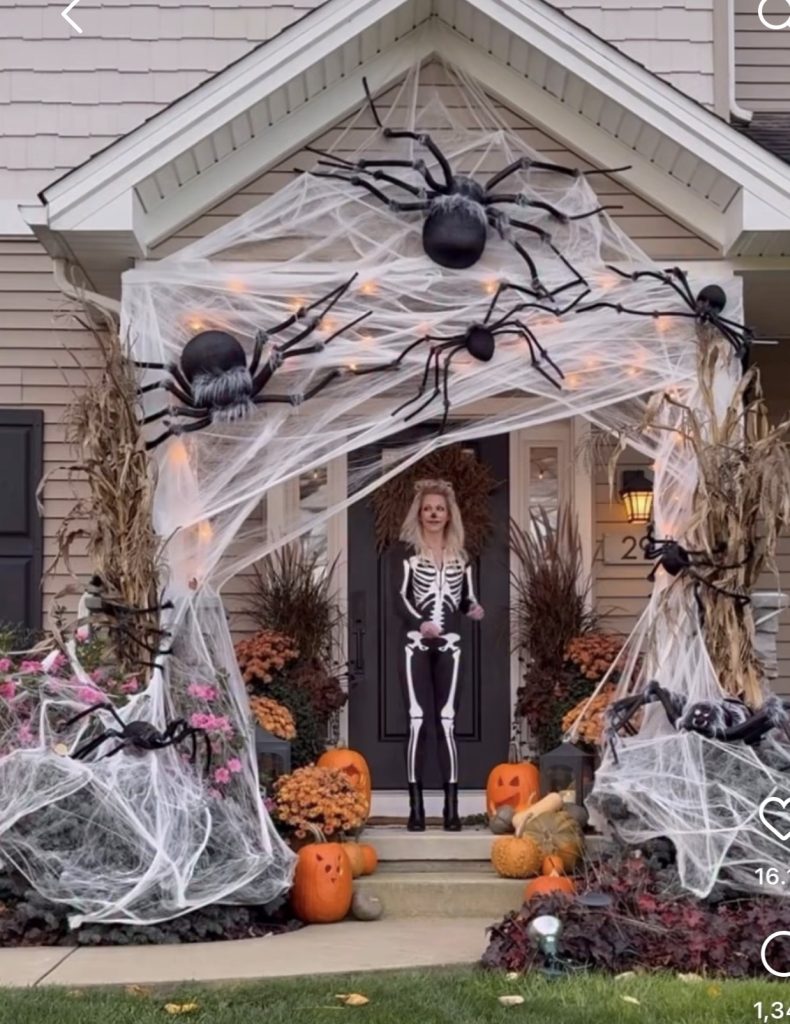 Giant spider web takeover 