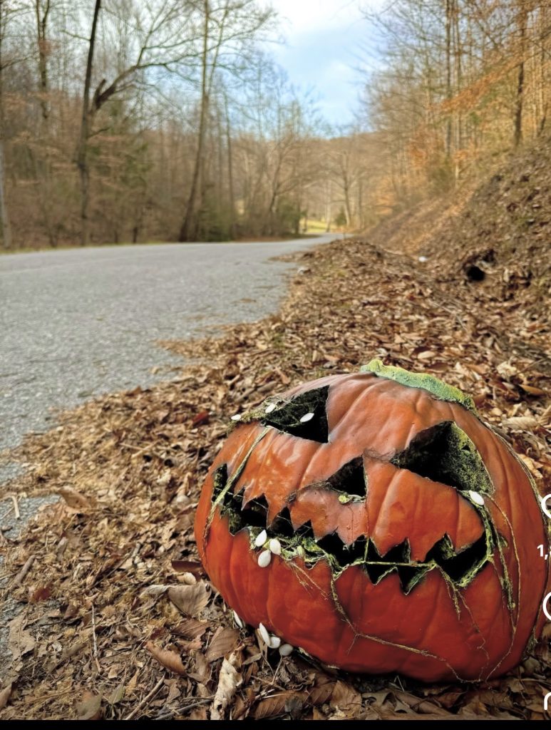 Rotten pumpkin