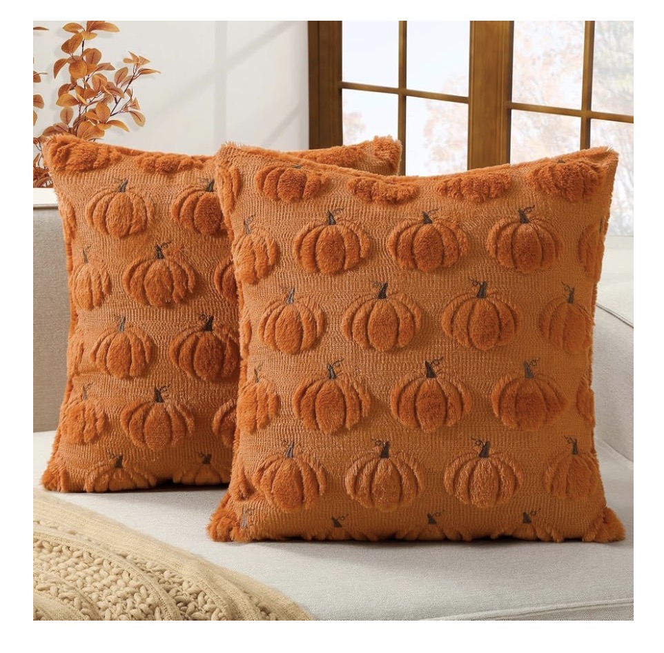 Autumn throw pillow set 