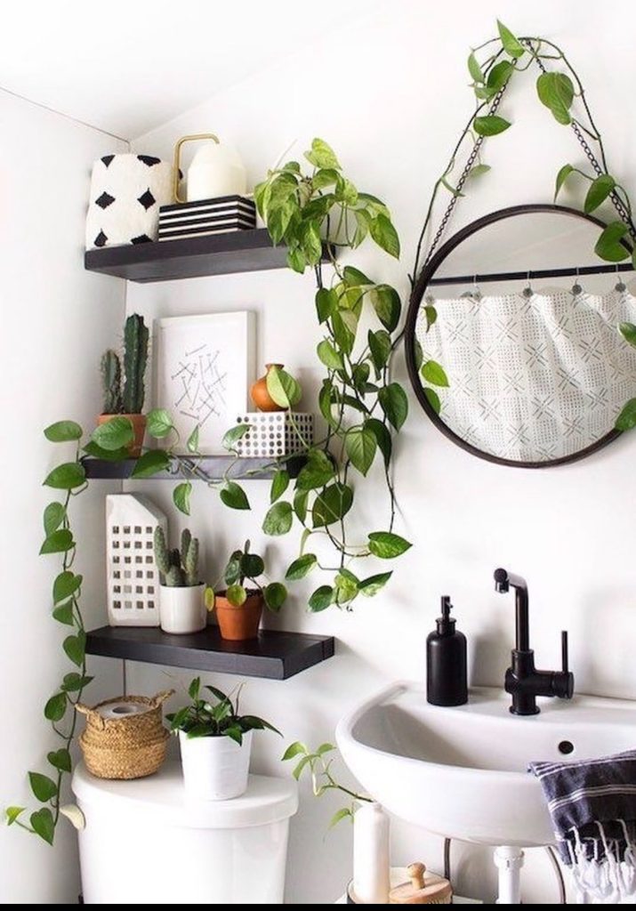 Hanging Plants In Funky Small Bathroom