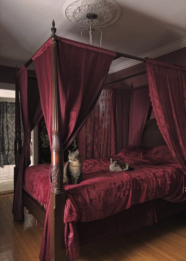 Moody canopy bedroom for small spaces 
