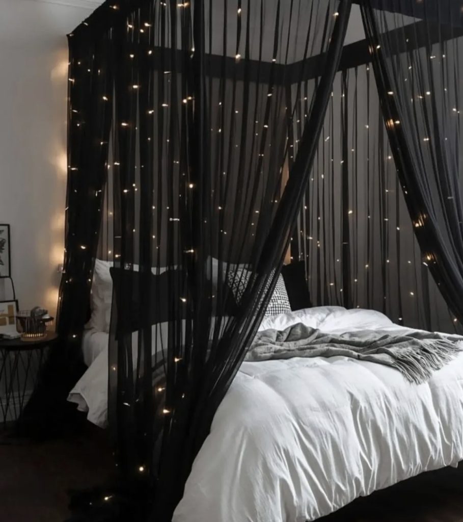 Canopy bedroom with muted dark tones 