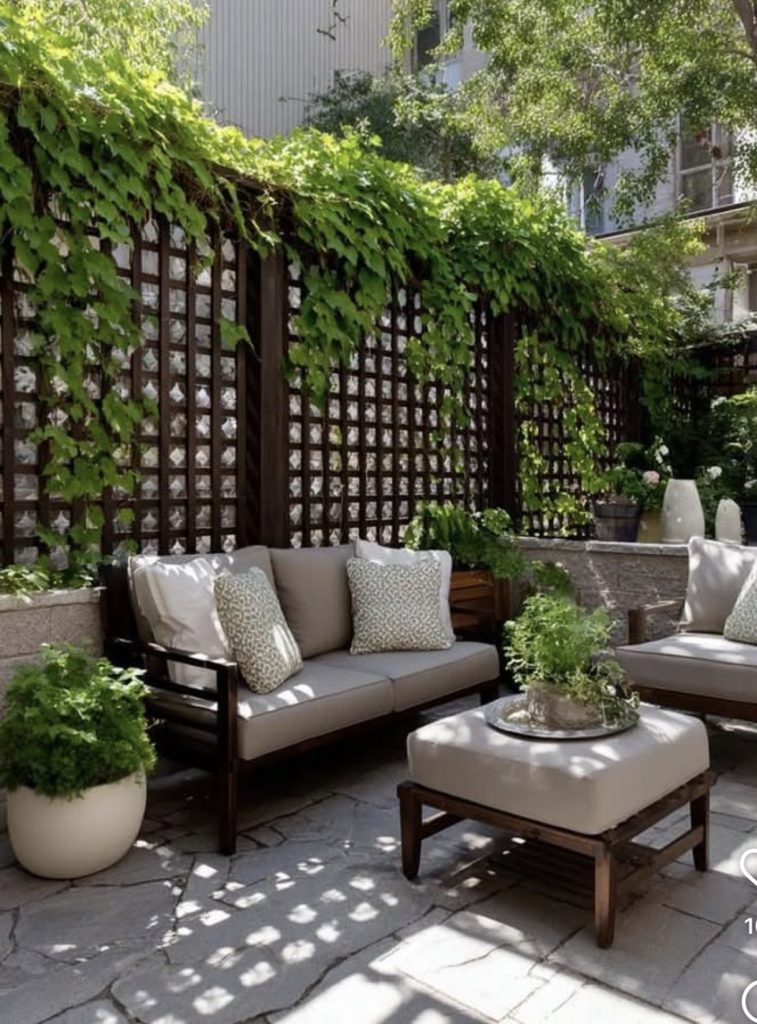 Patio with trellis 