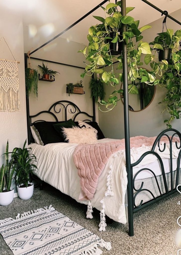 Metal canopy frame with green plants 