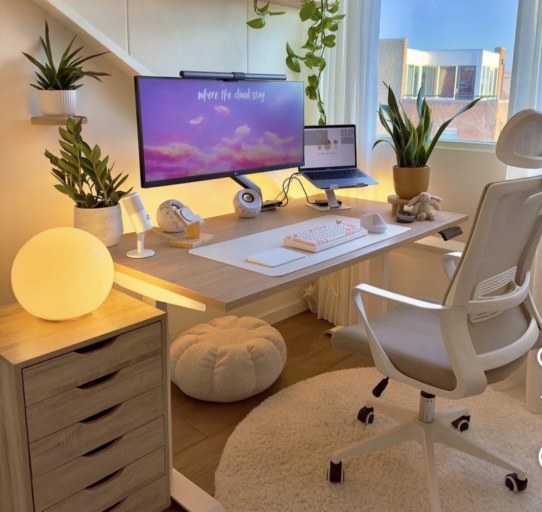 How To Decorate Your Work From Home Office To Look Professional