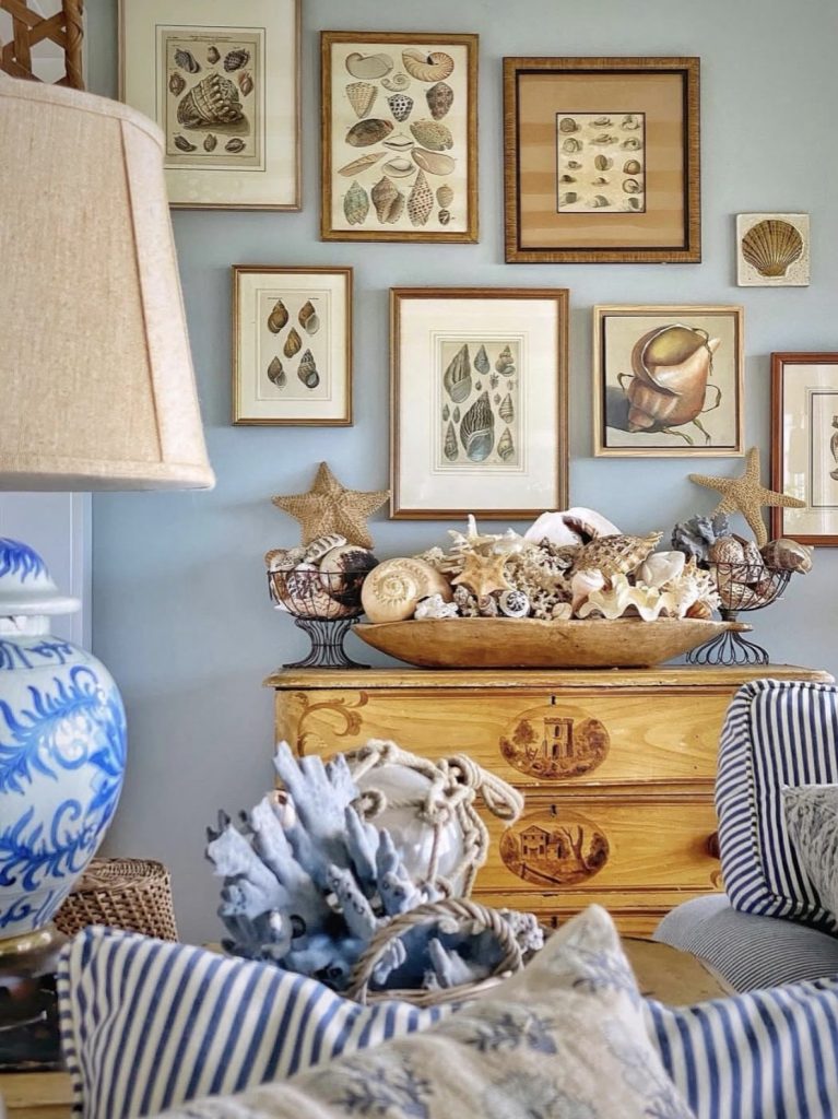 Seashells and coral decor