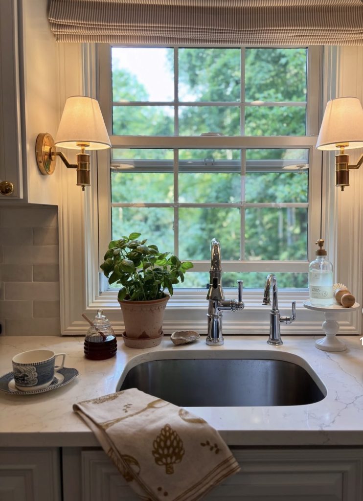 Farmhouse sink with potted plant in the window 