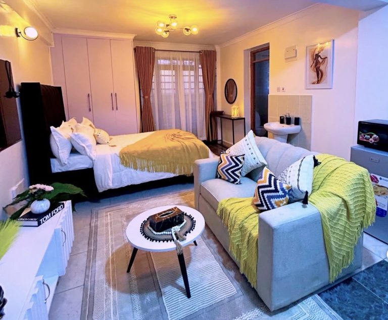 How to Decorate a very small  Studio Apartment to look cozy 