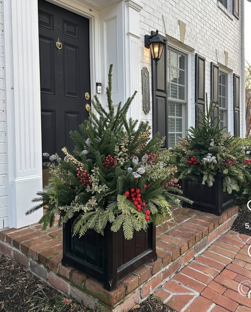 Mini Christmas Trees