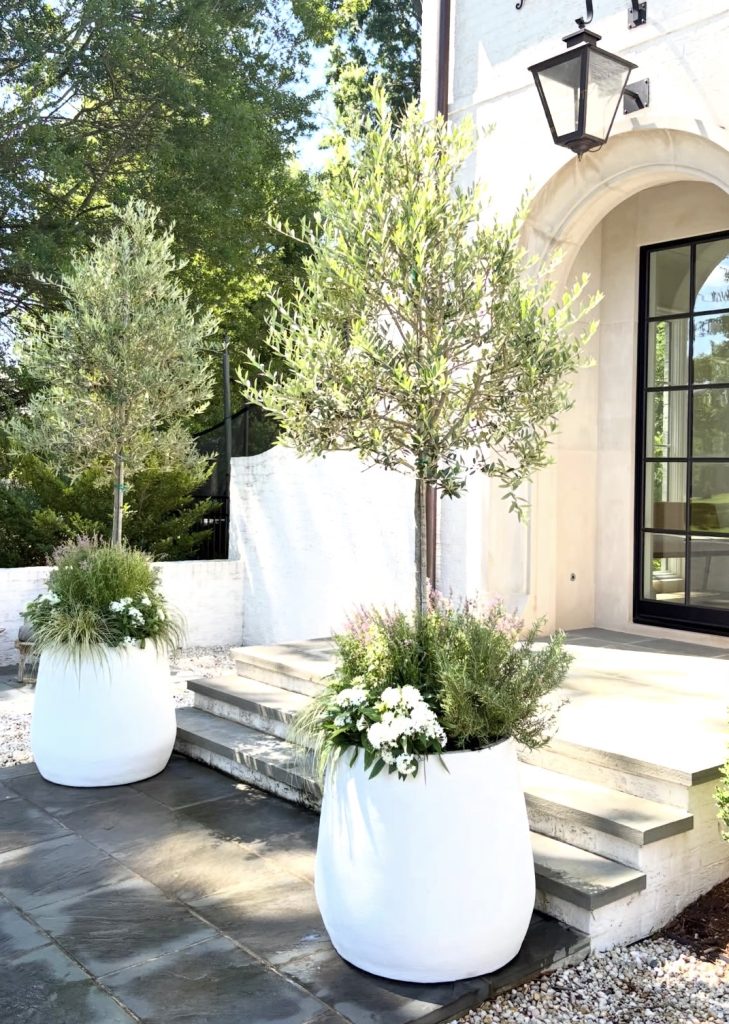 Planters With Natural Greenery