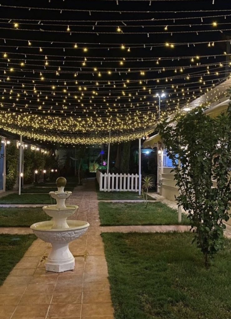 Walkway With Simple Christmas Lights